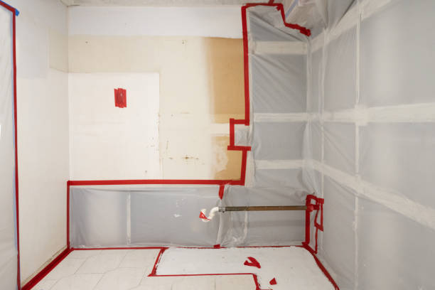 Tolleson, AZ Mold Removal Pros