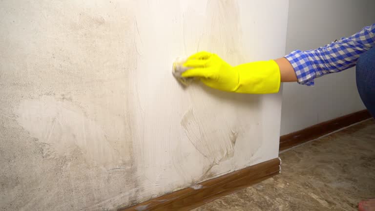 Best Mold Documentation for Insurance Claims  in Tolleson, AZ